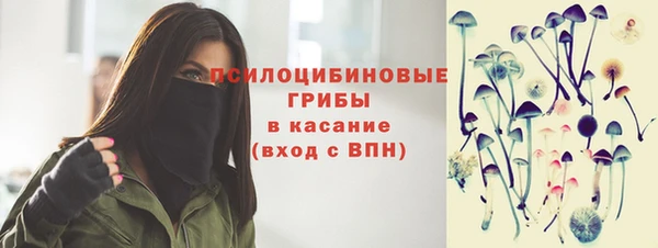 ПСИЛОЦИБИНОВЫЕ ГРИБЫ Волосово