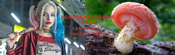 ПСИЛОЦИБИНОВЫЕ ГРИБЫ Волоколамск